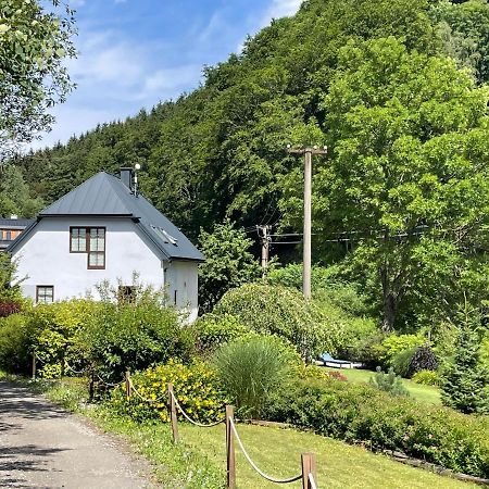 Vila Aja Svoboda nad Úpou Esterno foto